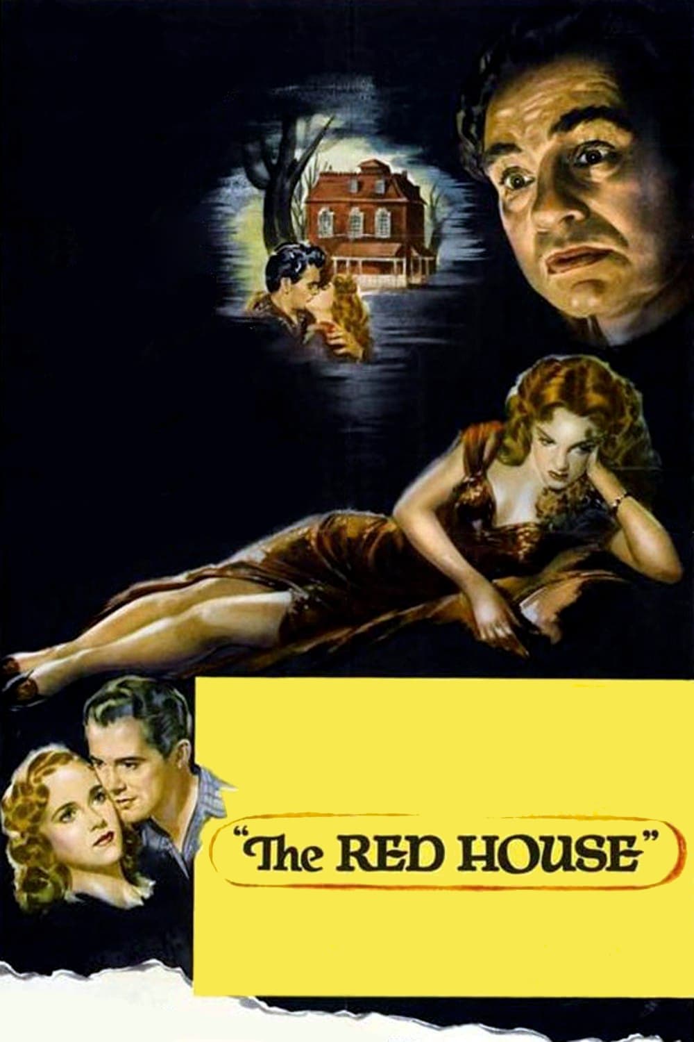 постер Красный дом